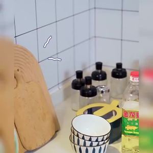 【eoxjk】สก์ท็อปที่ถอดออกได้การจัดเก็บข้อมูลผู้ถือแร็คมุมชั้นเก็บสำหรับห้องห้องนอนห้องนั่งเล่นห้องครัวชั้นเก็บไม้