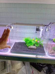 Bể cá đúc 35x21x23 cm mini để bàn