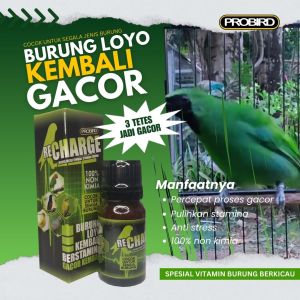 VITAMIN BURUNG PENAMBAH GACOR PLECI KENARI FINCH CIBLEK CENDET