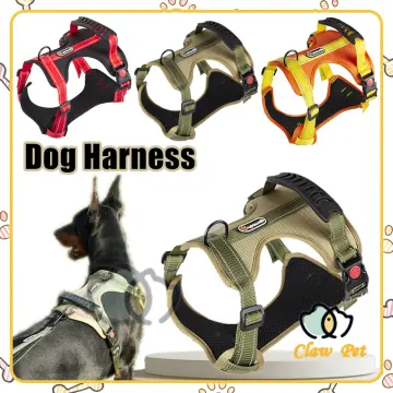 Buy Dog Harness Belgian Malinois online Lazada .ph