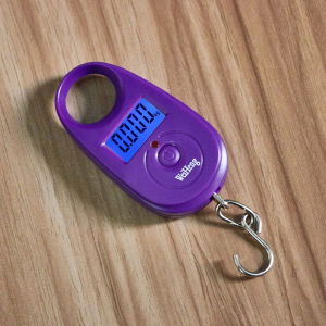 25kg 5g Mini Digital Scale Electronic Hanging Luggage Scale Accurate Fishing Pocket Weighing Scale LCD Display