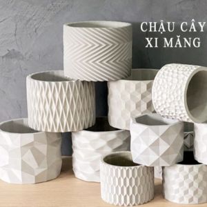 Set 4 chậu xi măng cao cấp trồng sen đá xương rồng bonsai cây cảnh chính hãng Cori hình trụ tròn kích thước 15x11.2 cm