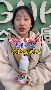 授粉座果精坐果灵防落素叶面肥瓜果蔬菜果树通用授粉精保花保果素