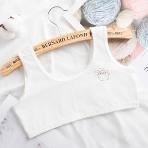 Bộ 5 áo lót học sinh nữ vải cotton dây bản to không đệm mút thoáng mát rất coll- ao lot hoc sinh nu day to