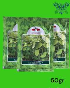 Benih Bayam MAESTRO 50gr Bibit Sayuran Unggul Cap Panah Merah