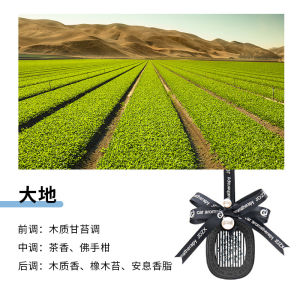 Car-mounted fragrance pendant car interior perfume accessory high-end car fragrance long-lasting light scent bowknot pearl diffuser