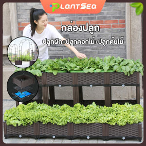 สต็อกพร้อมส่งจากไทย กระบะปลูกผักสวนครัว กะบะปลูกผักสำเร็จรูป กะบะใส่ดินปลูกต้นไม้ แปลงปลูกผักสำเร็จรูป แปลงผักเพาะปลูก ประกอบง่าย น้ำหนักเบา ใช้ทนได้ 10 ปี