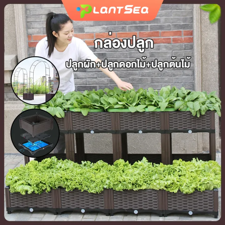 Plantsea กระบะปลูกผักริมระเบียง ระบายน้ำดี
