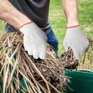 buy 5 Take 1free Seedling Tray 32/50/105/128/200 Holes Garden Starter Tray Strength Seed Germination Plant Pot