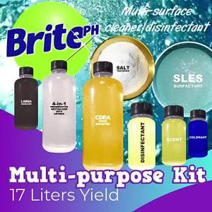 Multi-purpose Cleaner DIY Kit/Multi-surface Cleaner and ant