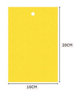 Pelekat Serangga Double-Sides Yellow Sticky Trap Flies Trap Insect Stick Trap Perangkap Lalat Kuning Sticker 双面粘虫板