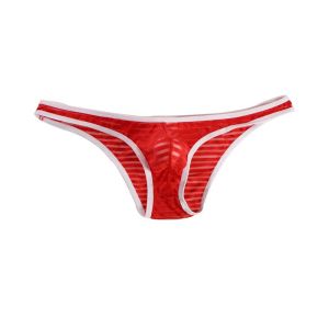 Mens Brief : Translucent Mesh Bikini Underwear (C603)