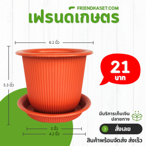 กระถาง กระถางต้นไม้ มินิมอล ฮีโร่ + จาน ขนาด 6 นิ้ว สีดำ สีขาว สีเทา สีอิฐ Bundle 5 ใบ ชิ้น อัน