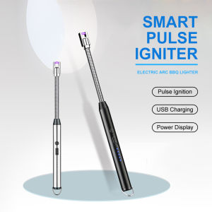 Electric Burner Pulse Igniter: A Comprehensive Guide