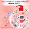 Nước Giặt Đồ Lót Omo 300G Diệt Sạch Vi Khuẩn Nấm Mốc Hương Anh Đào Thanh Lịch Omo Underwear Liquid Detergent Lingerie Enzyme Wash. 