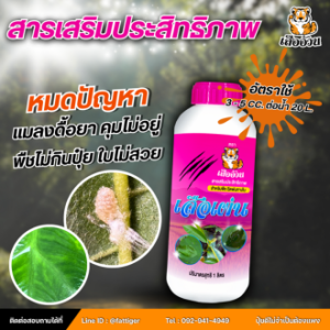 เสือเผ่น สารเสริมประสิทธิภาพพืช ขนาด 1 ลิตร