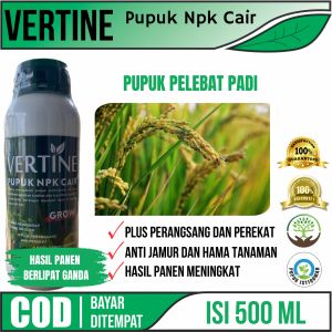 VERTINE GROW Obat Pelebat Padi - Pupuk Penyubur Padi - Pupuk NPK Cair Menyuburkan Akar Batang & Buah Pada Tanaman Padi Sehingga Dapat Menghasilkan Panen Berlipat - Menambah Bobot Pada Padi - Panen Menjadi Maksimal ISI 500 ML