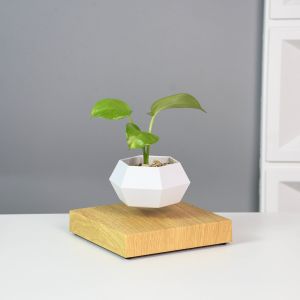 Floating Plant Pot Succulents Air Bonsai Home Office Desk Decor Magnetic Levitating Rotating Display