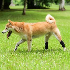FLYING Lightweight Dog Leg Brace Breathable Reusable Dog Hock Brace Comfortable Adjustable Dog Ankle Splint Post-Surgery Care