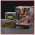 [Soloya]💖[HOT SALE]🎈🎈 Reptile Breeding Box Lizard Kennel Amphibian Terrarium Transparent Acrylic Feeding Cage Ecological Insect Spider Habitat. 
