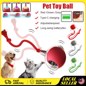 Malaysia Pet Toy Ball Spot Electric Interactive Pet Cat Rolling Balls Suitable For All Pets Toy USB 宠物玩具玩具球