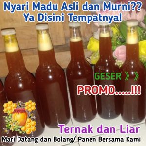 Madu Murni Tanpa Campuran Natural Pure Honey