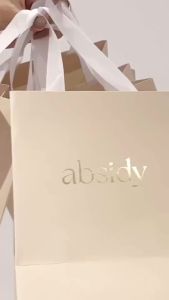 Absidy Gift Bag Limited Edition Premium Quality