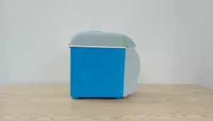 CAR Mini Car Fridge 12V Internet Celebrity Refrigerated Mini Mini Refrigerator Universal Portable Car Refrigerator Heating and Cooling