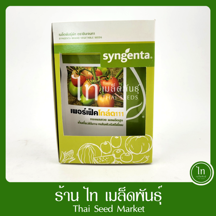 เมล็ดพันธุ์มะเขือเทศ เพอร์เฟคโกลด์ 111 ตรา syngenta