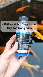 TN 2B Seaweed 500ml - Diệt Khuẩn Loại Bỏ Ký Sinh Trùng và Tảo Hại Cho Hồ Cá Cảnh