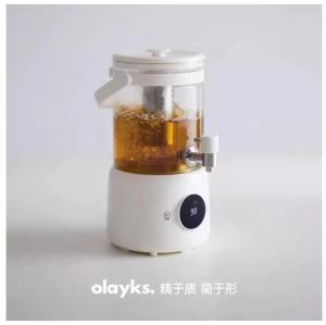 olayks pot kesehatan berkemah buah tong anggur tong teh bunga suhu konstan pot kesehatan rumah komersial multi-fungsi