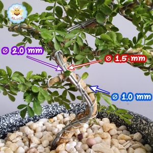 ถูกที่สุด ลวดดัดบอนไซ 1000 กรัม(1กิโลกรัม) 1mm-6mm เหนียว ยืดหยุ่น ไม่เป็นสนิม ลวดอลูมิเนียม คุณภาพดี Bonsai Wire alicdolly