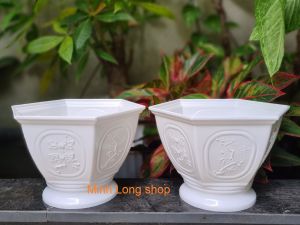 Bộ 02 Chậu Tùng Cúc 23x15cm Size Trung Màu Trắng Trồng Hoa Xinh Xắn