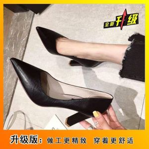 [Free Shipping] Spring New Collection: Soft Leather Chunky-Heeled Pointed-Toe Nude-Colored Pumps Versatile WomenS Shoes Professional WomenS Footwear