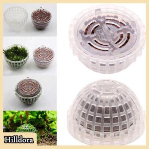 [Hilldora] Aquatic PET Supplies ตกแต่งตู้ปลามอสบอลสดพืชกรองสัตว์เลี้ยงตกแต่ง