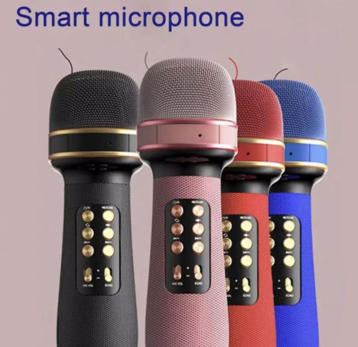 Microphone speaker 2024