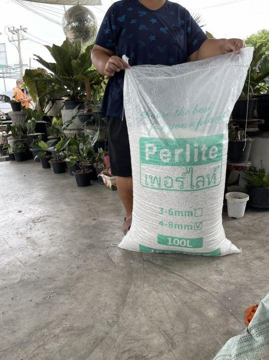 เพอร์ไลท์ 100 ลิตร เพิ่มความพรุนดิน