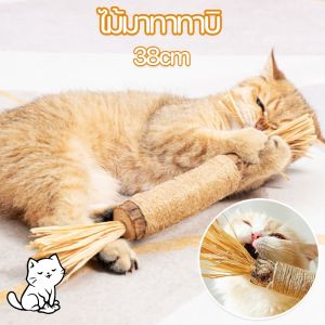 【M-Ting】 ใหญ่พิเศษ 38/30/21CM ไม้ฟันหญ้าแมว ไม้แปรงฟันแมว ช่วยสำรอกก้อนขน ของเล่นแมว