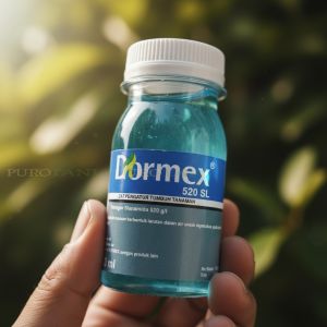 Dormex Penumbuh Tunas Anggur & Apel Pemecah Tunas Tanaman Anggrek