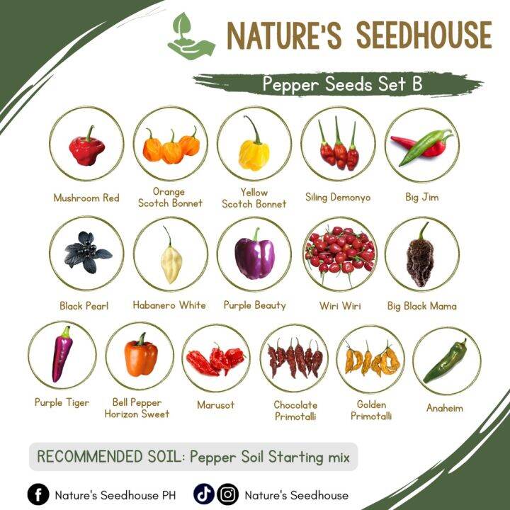 Pepper Seeds Collection Set B / Chili Seeds / Sili Seeds | Lazada PH