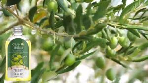 Buy1Take 2 Vitamin E Olive Glycerin Oil for Face Body Hair Non-Greasy Suitable for All Skin Body Oil