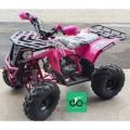 ATV Commander 125cc 4Tak RFZ Remote TERBARU. 