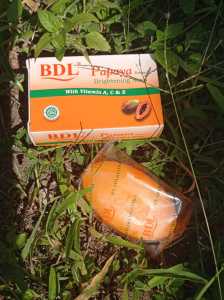 NEW!!! SABUN BDL PAPAYA / BPOM /SEDENG / BESAR /TERMURAH / TERLARIS DAN HARGA GLOSIR