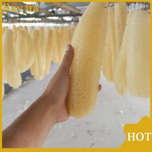 [Buytra] 1 cái mướp tự nhiên luffa cọ rửa nhà bếp cọ rửa bát nồi Xốp chà 20-25cm