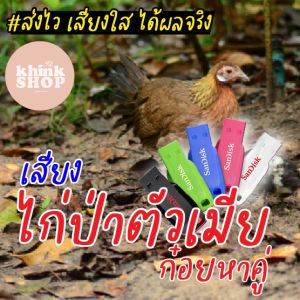 เมมเสียง ไก่ตัวเมียก๋อย หาคู่ แฟลชไดรฟเสียง