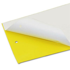 100PCS Strong Flies Traps Bugs Sticky Board Yellow Double-Sided Sticky Insect Board Catching Gnat Traps Killer For Indoor Outdoor Flying Plant Insect Like Fungus Gnats Whiteflies Aphids Leaf Miners Other Flying Plant Insects 10x20cm
