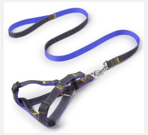 Candy Dog Harness / Tali Tuntun Harnes / Rantai Anjing Kucing Pet Belts