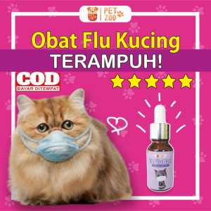 Obat Flu Kucing Flucat Obat Batuk Pilek Bersin Kucing Flu Cat Obat Batuk Kucing Obat Kucing Demam Influcat Doxy Cat Coldy Cat Terbaik Ampuh