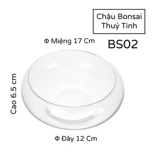 Bể Thuỷ Tinh - Chậu Nuôi Cá Trông Cây Bonsai Để Bàn BS02 Glass Contaier Φ 17Cm