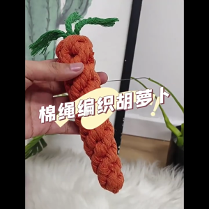 Handmade Carrot Designs Cotton Rope Pet Toy: A Must-Have Pet Friendly Ornament